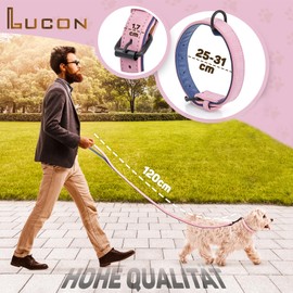 LUCON Dog Collar with Lead in Pink Set Collar for Puppies Small and Medium Dogs Leather Collar Padded Leather Dog Lead with Strong Carabia and Loop