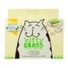 Armitage Good Girl Kitty Grass (150g) (May Vary)