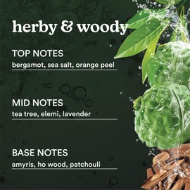 Homedics SereneScent White Sage & Moss Home Fragrance Oil, 120 ml, for use with Homedics SereneScent Waterless Diffuser (ARMH-970/973), Clean & Natural Everyday Collection