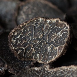 Truffle Slices, Black Summer Truffle Carpaccio, (50 gr) (1.76 oz), Thinly Sliced Natural dryness, Truffle Gourmet Line (Small piece)