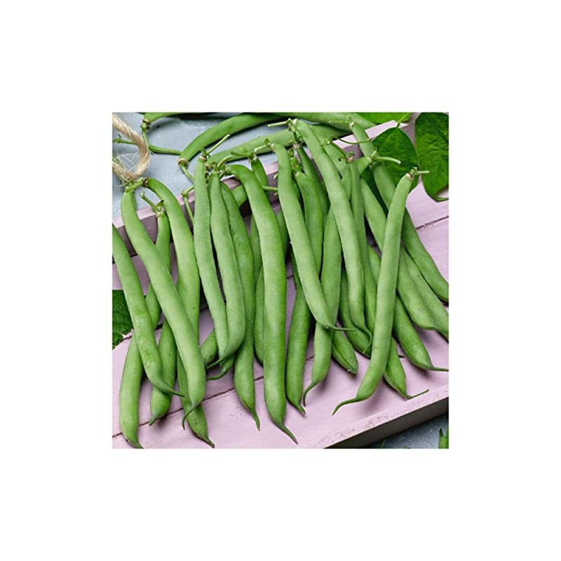 Everwilde Farms - 1/4 Lb Tenderette Green Bean Seeds -