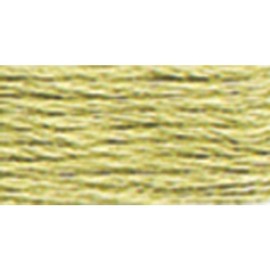 DMC 117-3013 Six Strand Embroidery Cotton Floss, Light Khaki Green, 8.7-Yard, Box of 12