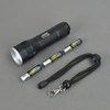 Lighthouse L/HEFOC250 Elite High Performance LED Torch 250 Lumens AAA