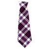 The Worthy Dog Madras Plaid Neck Tie Comfortable Easy to