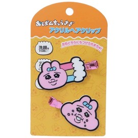 Panchusagi Acrylic Hair Clips (3)