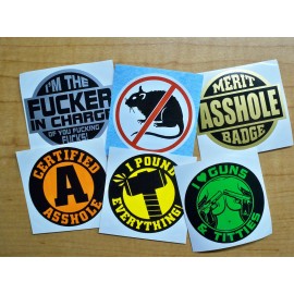 Unbranded/Generic Funny Hard Hat Stickers / F**ker In Charge No Rats A-Hole Pound Foreman Decals