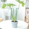 GOOOXIM Set of 10 Indoor Plant Support 12“- Durable U-Shape