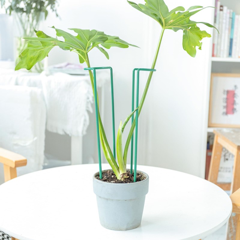 GOOOXIM Set of 10 Indoor Plant Support 12“- Durable U-Shape