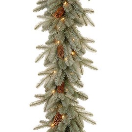 National Tree Frosted Arctic Spruce Garland with Clear Lights, 9 Feet