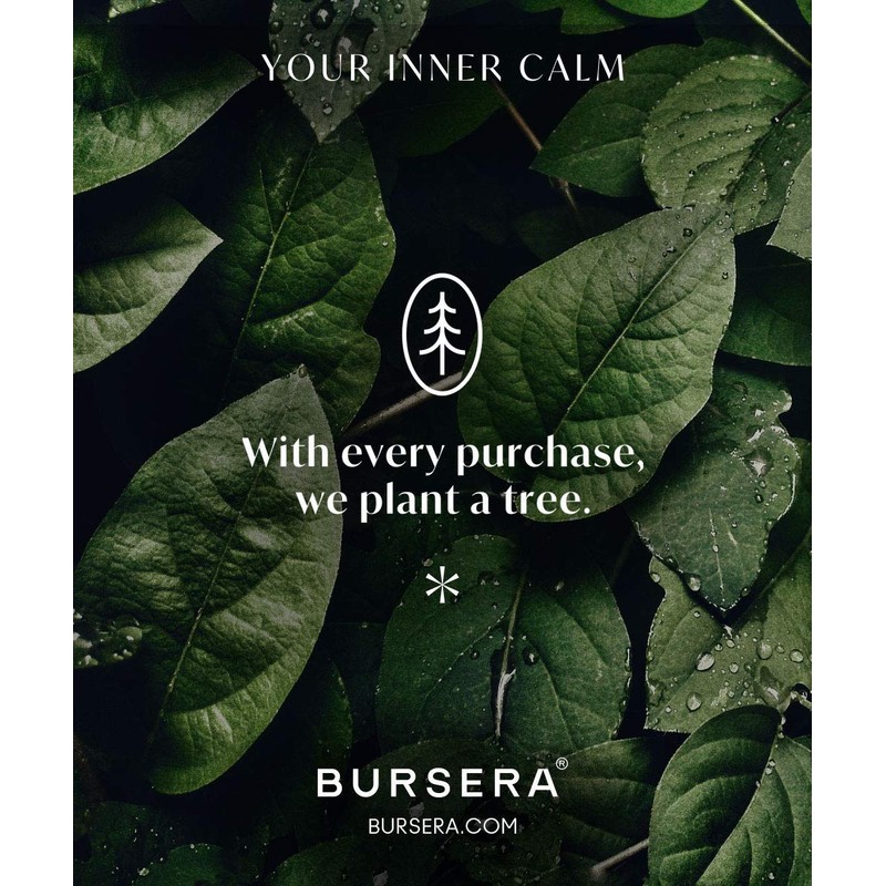 Bursera Tea Tree Essential Oil, Tree Planted with Every Order,