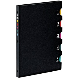 FIVE CHART Light B5 Ring Binder, F905