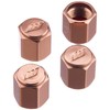 WORK AVC-BR Air Valve Caps, Brown, Set of 4