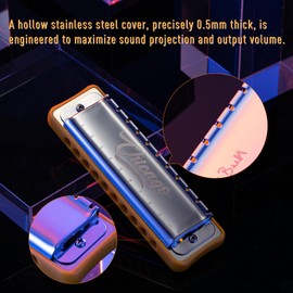 Harmonica JDR Blues Key of G 10 Holes 20 Tones Harps Armonica for Adults Kids Professional Beginners Mini Mouth Organ with Case Chicago