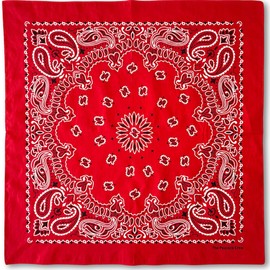 The Peacock Crew Terracotta Brown Bandana for Men and Women in Premium Soft Cotton Paisley Scarf Gift Kraft Pack