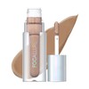 FOCALLURE ALL-OVER Liquid Eyeshadow, Long Lasting Shimmer Eye Shadow, Multi-Dimensional