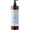 Artègo Color Shampoo - Rain Dance - 1 litre