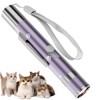 Cat Toy, Distinctive Purple Painted Metal Casing with Paw Print