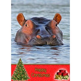 Hippo Christmas Card 'Happy Christmas' - Special Xmas Card for Him Her Kids Male Female