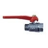 Kippen 5130A Ball Valve M/F-1/2 with Lever Handle