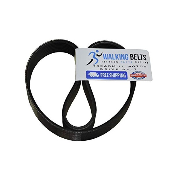 WALKINGBELTS Walking Belts LLC - Horizon T203 (S/N: TM644) (2011)