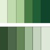 24 Sheets Sage Green Scrapbook Paper 12" x 12" Assorted