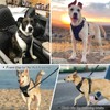 BDSHUNBF Dog Harness Large Dog No Pull Pet Harness with