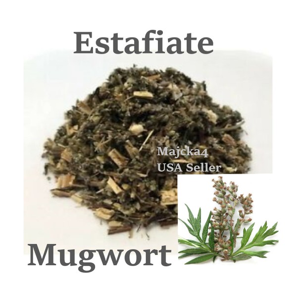 Estafiate Hierba Amarga 4 oz Mugwort Bitter Herb Artemisia vulgaris