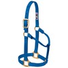 Weaver Leather Original Non Adjustable Halter (Blue, Avarage Horse/Yearling Draft)
