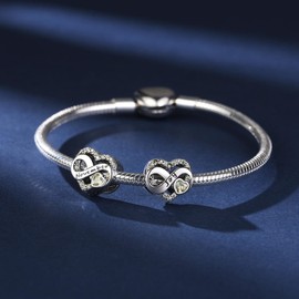 BIZK Women's Infinity Heart Birthstone Charm Pendant for Bracelet 925 Sterling Silver Birthstone Charms Beads 12 Months Birthday Gift for Girlfriend Women, Sterling Silver Cubic Zirconia, Cubic