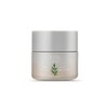 Missha Mugwort Soothing Cream 50ml / 미샤 개똥쑥 진정 크림 50ml