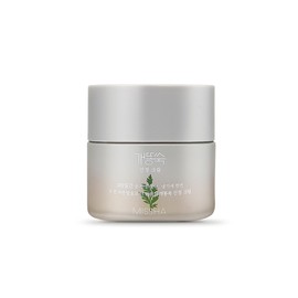 Missha Mugwort Soothing Cream 50ml / 미샤 개똥쑥 진정 크림 50ml