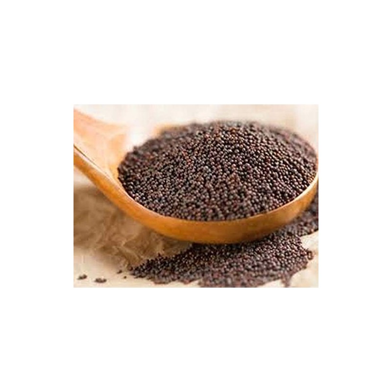 Indian Spice Mustard Seeds 7oz-