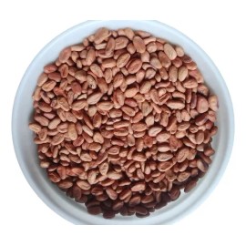 5 Kilos De Cacao Seco Grano Agroecologico Comalcalco Tabasco