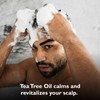 DandyMen Tea Tree Clarifying Shampoo | Deep Cleanse and Scalp