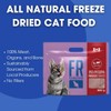 Formula Raw Freeze-Dried Raw Cat Food - Duck & Beef