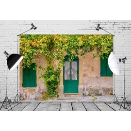 Loccor Fabric 5x3ft French Village Street Photography Backdrop Old Fashioned Lace Curtains House Backdrop Wooden Door Shutters Grapevines Window Background Wedding Birthday Party Decor Photo Props