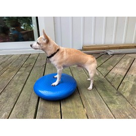 DEZAL Dog Balance Disc Cushion 14" - With 2 Exercises and Pump - Dog rehab Exercise Strength Endurance Conditioning Fitness Flexibility Rehabilitation Physical Training Tool for Senior Dogs