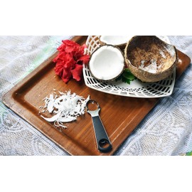 Round Cut Edges Handle Coconut Grater- Durable Sharp Stainless Steel Blade Shredder & Multi-Purpose Rasp for Easy Use, Efficient Shredding Tool (Plastic & stainless steel handle)