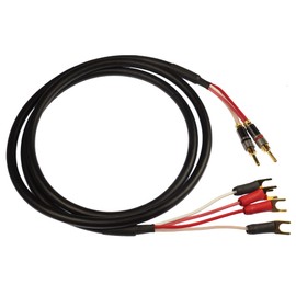 Blue Jeans Cable Canare 4S11 Speaker Cable, with Ultrasonically-welded Bi-Wire Terminations (One Cable - for one Speaker); Assembled in The USA (10 foot, Black, Two Bananas to Four Spades)