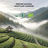 MatchAiA Organic Ceremonial Matcha Green Tea Powder - Superior Ceremonial