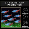 Bubble Magus Tetra Fish Food, Slow Sinking, All Natural Ingredients,