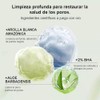 Lanbena Puntos Negros - Mascarilla Puntos Negros 30g 60pzs Tiras