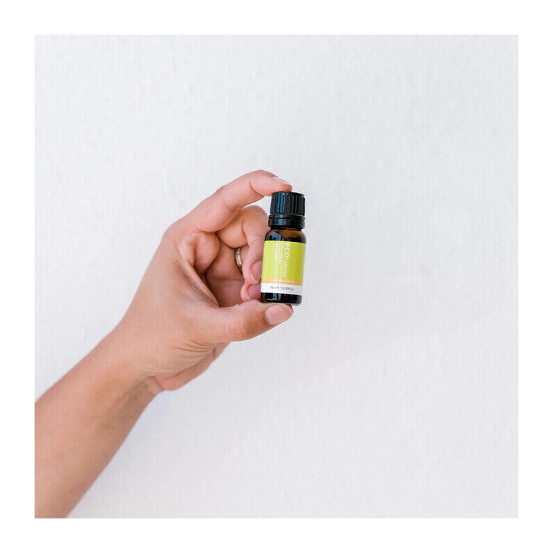 ECO. Modern Essentials Citronella Pure Essential Oil, 10ml