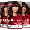 Brillance Intensive Colour Cream 869 Chestnut Brown (3 x 170