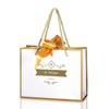 A neige Gift Bag with Gold Ribbon