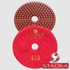 Granite Wet Diamond Polishing Pads 4 Inch for Marble Concrete