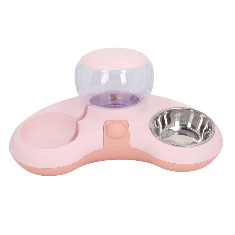 Double Cat Bowls Pet Food and Water Bowl Set Tilted