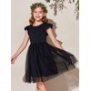 Haloumoning Girls Tutu Dress Ruffle Short Sleeve Fluffy Summer Party