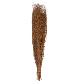 Deco 79 Dried Plant Home Decor Natural Foliage Tall Sticks Natural Dried Foliage, Foliage for Decoration 10" x 10" x 45", Brown