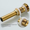 SWHYGER Champagne Bronze Sink Drain with Overflow,Brass Bathroom Sink 1